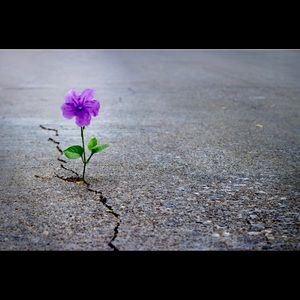 Meet your Posher, Marcia